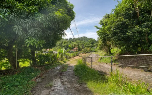 SYLVANIA – 1.723 Acre Residential /Agricultural Lot In Cool, Tranquil Location