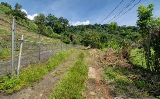 SYLVANIA – 1.723 Acre Residential /Agricultural Lot In Cool, Tranquil Location