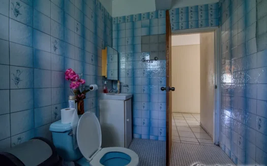 RIVIERE CYRIQUE – Spacious 3 Bedroom Bungalow On 6,349.sq.ft. In Tranquil Vicinity