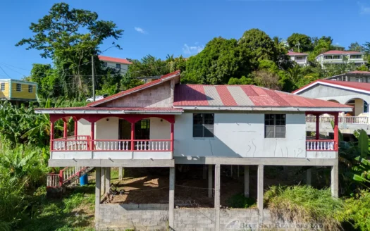 CASTLE COMFORT – 3 Bedroom Spacious Bungalow On Generous Lot with High-Potential Ground Floor
