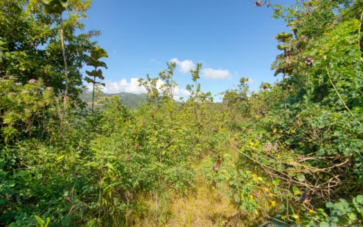 MACOUCHERIE – 3.945 Acres of Gently Sloping Hillside with Astounding Views