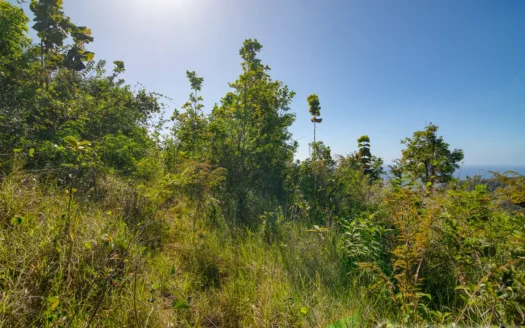 MACOUCHERIE – 3.945 Acres of Gently Sloping Hillside with Astounding Views