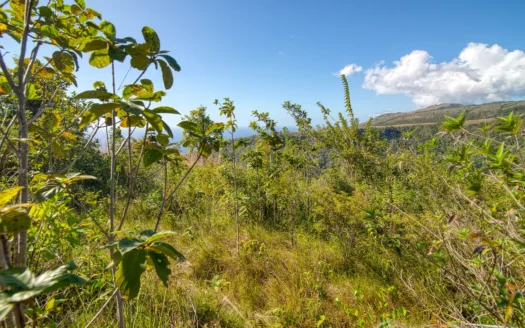 MACOUCHERIE – 3.945 Acres of Gently Sloping Hillside with Astounding Views