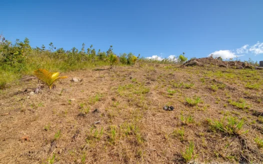 MACOUCHERIE – 3.945 Acres of Gently Sloping Hillside with Astounding Views