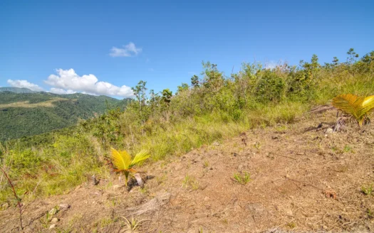 MACOUCHERIE – 3.945 Acres of Gently Sloping Hillside with Astounding Views