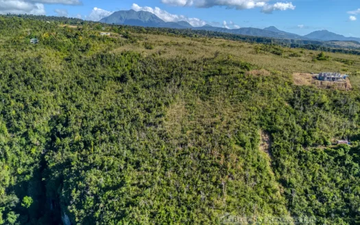 MACOUCHERIE – 3.945 Acres of Gently Sloping Hillside with Astounding Views