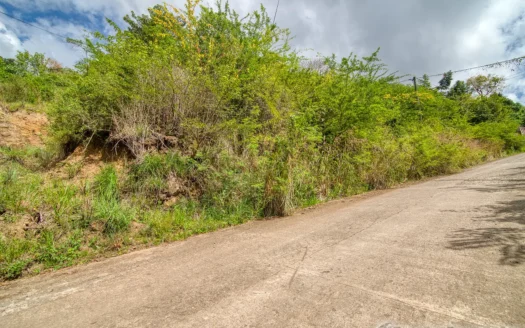 Zabrico Heights, MAHAUT – 13,739.sq.ft. Of Elevated Caribbean Living