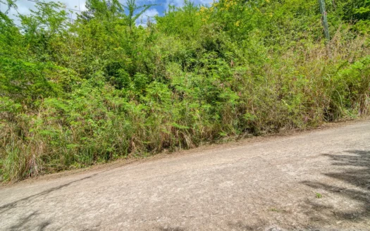 Zabrico Heights, MAHAUT – 13,739.sq.ft. Of Elevated Caribbean Living