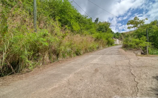 Zabrico Heights, MAHAUT – 13,739.sq.ft. Of Elevated Caribbean Living