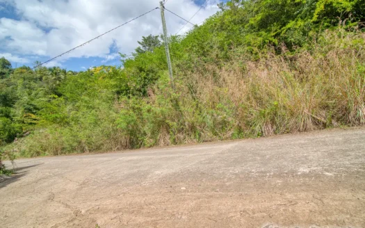 Zabrico Heights, MAHAUT – 13,739.sq.ft. Of Elevated Caribbean Living