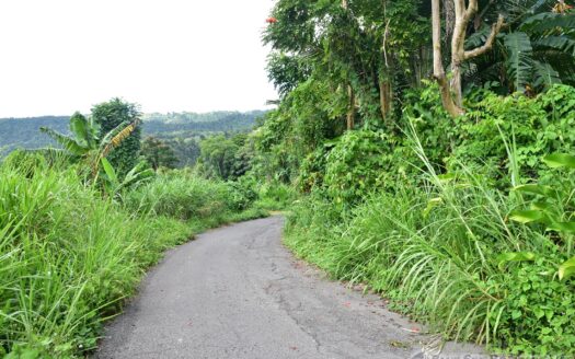 Cassada Garden, LAYOU VALLEY – 1 Acre Flat to Gently Sloping Prime Residential/Agricultural Land