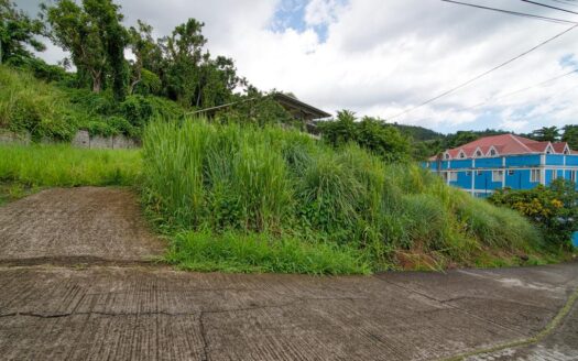 PICARD, Portsmouth – 8 Bedroom Double Apartment Buildings On 1 Acre