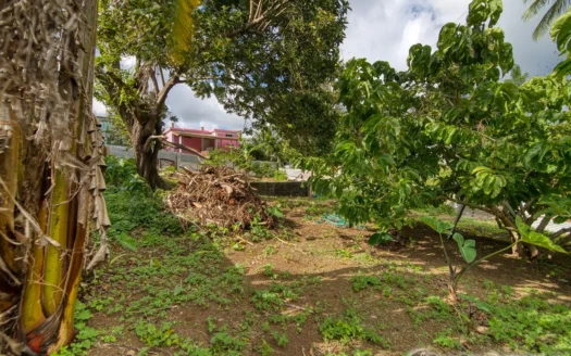 RIVIERE CYRIQUE – 4,028.sq.ft. Serene Residential Lot In Elevated Location