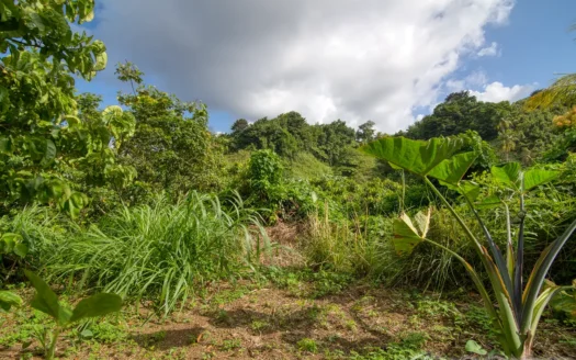 RIVIERE CYRIQUE – 4,028.sq.ft. Serene Residential Lot In Elevated Location