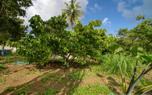 RIVIERE CYRIQUE – 4,028.sq.ft. Serene Residential Lot In Elevated Location