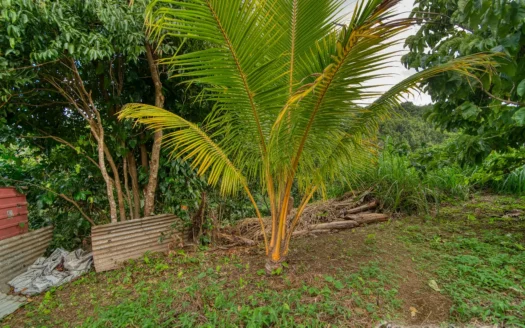 RIVIERE CYRIQUE – 4,028.sq.ft. Serene Residential Lot In Elevated Location