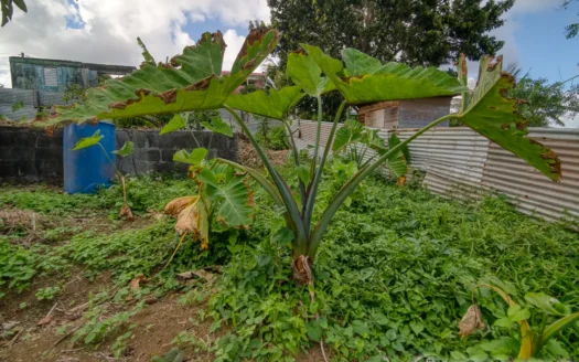 RIVIERE CYRIQUE – 4,028.sq.ft. Serene Residential Lot In Elevated Location