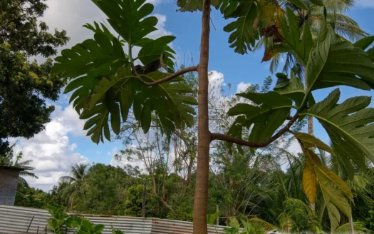 RIVIERE CYRIQUE – 4,028.sq.ft. Serene Residential Lot In Elevated Location