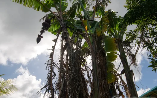 RIVIERE CYRIQUE – 4,028.sq.ft. Serene Residential Lot In Elevated Location