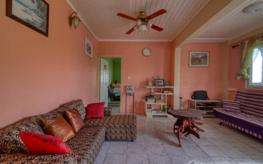 THIBOUD – Adorable 2 Floor 3 Bedroom Hillside Property on 9,263.sq.ft. Offering Panoramic Ocean Views