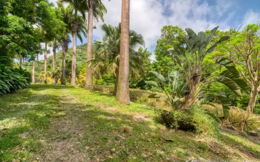 PETITE COULIBRI ESTATE – 310 Acres of High-End Sustainable Eco-Resort and Legacy Development Potential