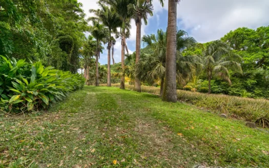 PETITE COULIBRI ESTATE – 310 Acres of High-End Sustainable Eco-Resort and Legacy Development Potential