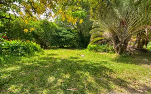 PETITE COULIBRI ESTATE – 310 Acres of High-End Sustainable Eco-Resort and Legacy Development Potential