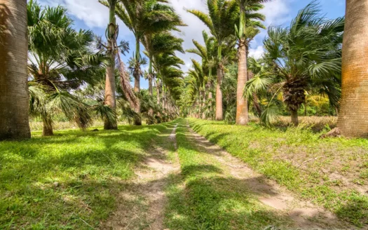 PETITE COULIBRI ESTATE – 310 Acres of High-End Sustainable Eco-Resort and Legacy Development Potential