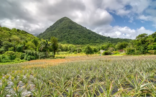PETITE COULIBRI ESTATE – 310 Acres of High-End Sustainable Eco-Resort and Legacy Development Potential