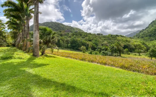 PETITE COULIBRI ESTATE – 310 Acres of High-End Sustainable Eco-Resort and Legacy Development Potential