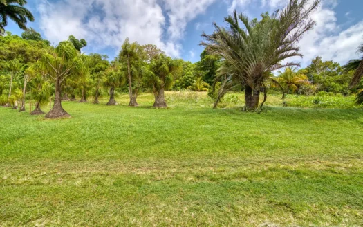 PETITE COULIBRI ESTATE – 310 Acres of High-End Sustainable Eco-Resort and Legacy Development Potential