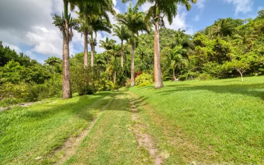 PETITE COULIBRI ESTATE – 310 Acres of High-End Sustainable Eco-Resort and Legacy Development Potential
