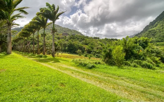 PETITE COULIBRI ESTATE – 310 Acres of High-End Sustainable Eco-Resort and Legacy Development Potential