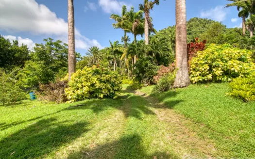 PETITE COULIBRI ESTATE – 310 Acres of High-End Sustainable Eco-Resort and Legacy Development Potential