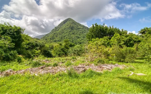PETITE COULIBRI ESTATE – 310 Acres of High-End Sustainable Eco-Resort and Legacy Development Potential