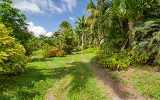 PETITE COULIBRI ESTATE – 310 Acres of High-End Sustainable Eco-Resort and Legacy Development Potential