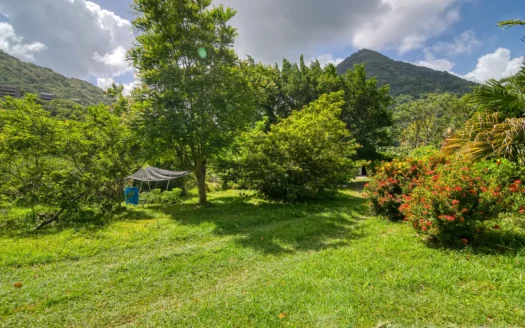 PETITE COULIBRI ESTATE – 310 Acres of High-End Sustainable Eco-Resort and Legacy Development Potential