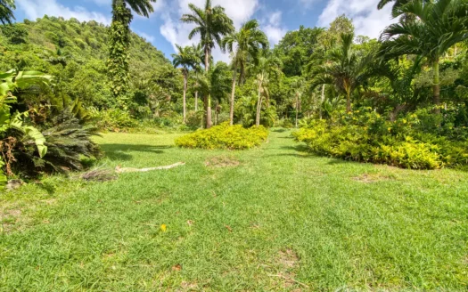 PETITE COULIBRI ESTATE – 310 Acres of High-End Sustainable Eco-Resort and Legacy Development Potential