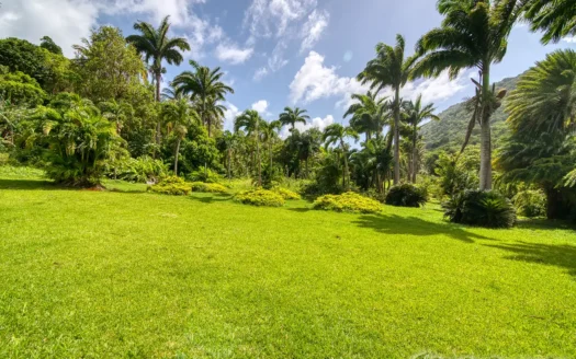 PETITE COULIBRI ESTATE – 310 Acres of High-End Sustainable Eco-Resort and Legacy Development Potential