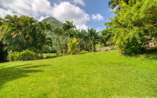PETITE COULIBRI ESTATE – 310 Acres of High-End Sustainable Eco-Resort and Legacy Development Potential
