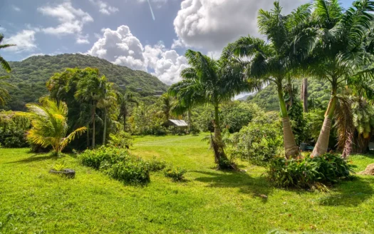 PETITE COULIBRI ESTATE – 310 Acres of High-End Sustainable Eco-Resort and Legacy Development Potential