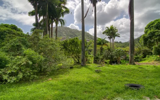 PETITE COULIBRI ESTATE – 310 Acres of High-End Sustainable Eco-Resort and Legacy Development Potential