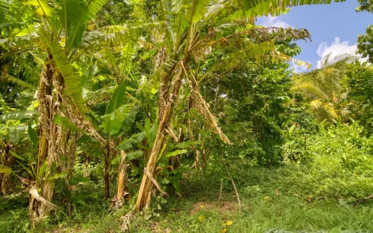 PETITE COULIBRI ESTATE – 310 Acres of High-End Sustainable Eco-Resort and Legacy Development Potential