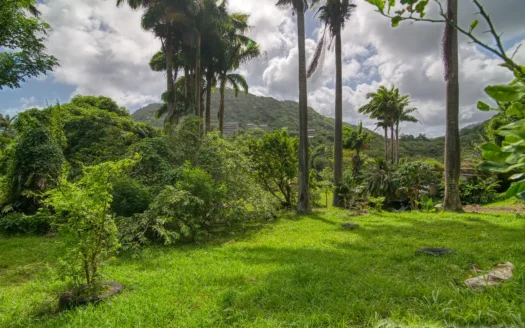 PETITE COULIBRI ESTATE – 310 Acres of High-End Sustainable Eco-Resort and Legacy Development Potential