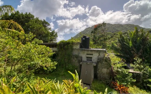 PETITE COULIBRI ESTATE – 310 Acres of High-End Sustainable Eco-Resort and Legacy Development Potential