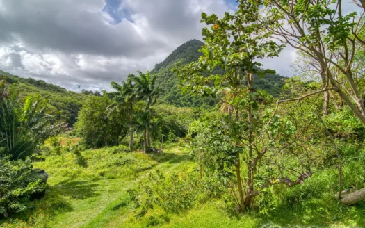PETITE COULIBRI ESTATE – 310 Acres of High-End Sustainable Eco-Resort and Legacy Development Potential