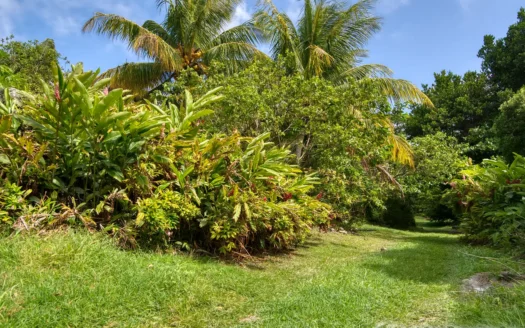 PETITE COULIBRI ESTATE – 310 Acres of High-End Sustainable Eco-Resort and Legacy Development Potential