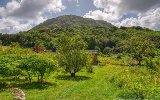 PETITE COULIBRI ESTATE – 310 Acres of High-End Sustainable Eco-Resort and Legacy Development Potential