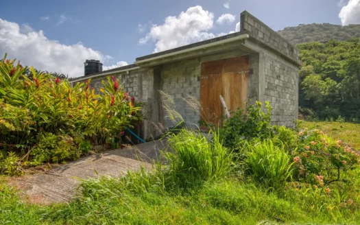 PETITE COULIBRI ESTATE – 310 Acres of High-End Sustainable Eco-Resort and Legacy Development Potential