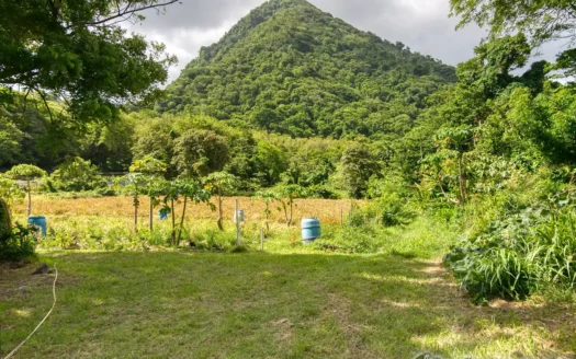 PETITE COULIBRI ESTATE – 310 Acres of High-End Sustainable Eco-Resort and Legacy Development Potential